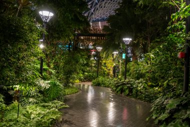 best outdoor solar garden lights