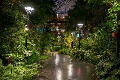 best outdoor solar garden lights