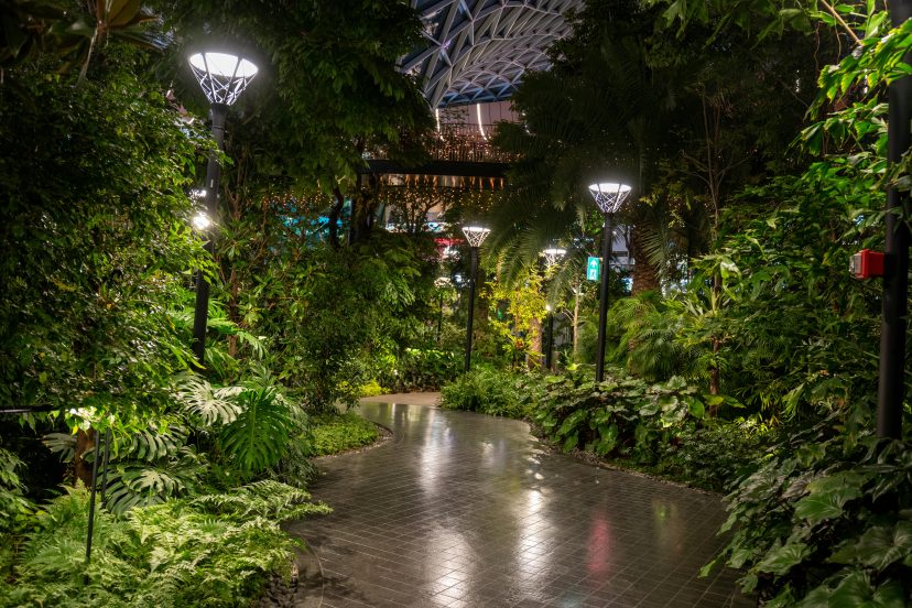 best outdoor solar garden lights