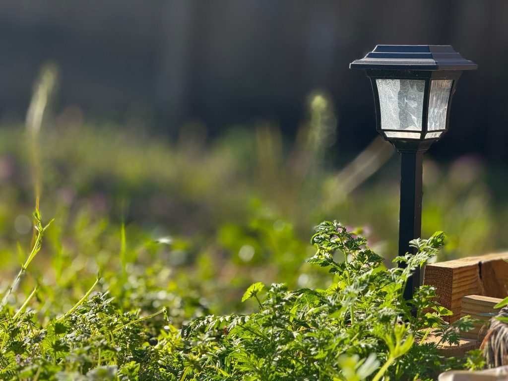 driveway solar powered lights